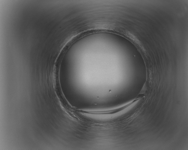 X0000067520580200604211819