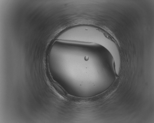 X0000067520581200604211819