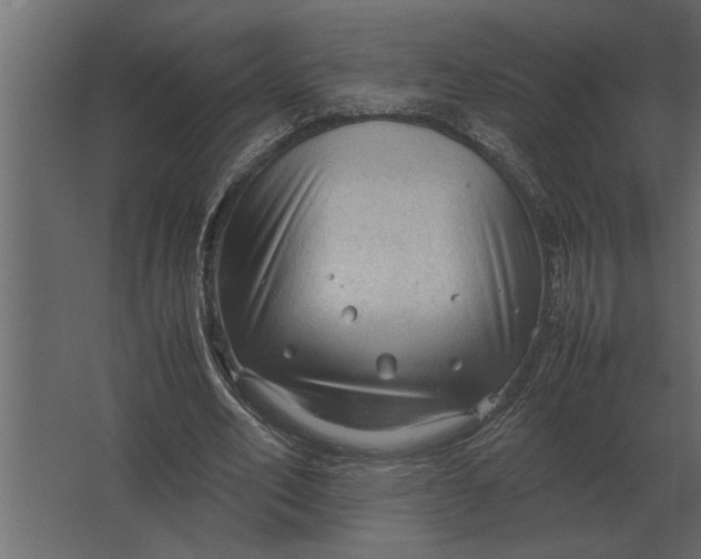 X0000067520582200604211819