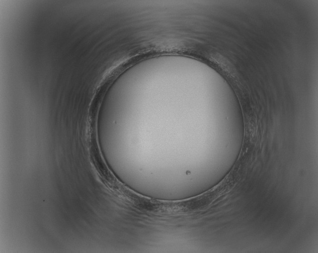 X0000067520583200604211819