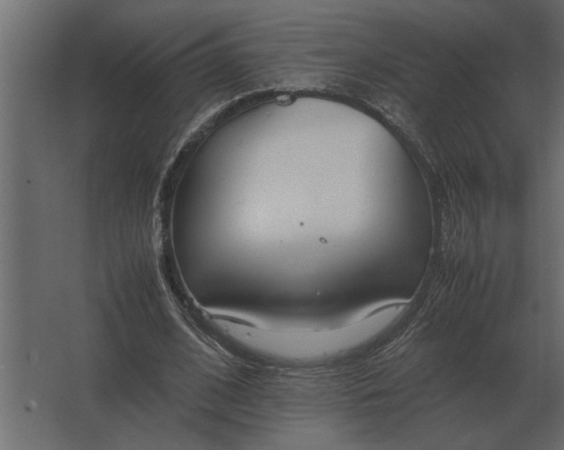 X0000067520584200604211819