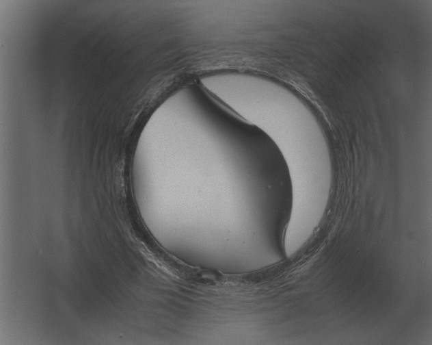 X0000067520585200604211819