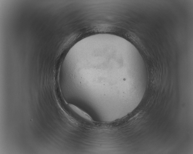 X0000067520586200604211819