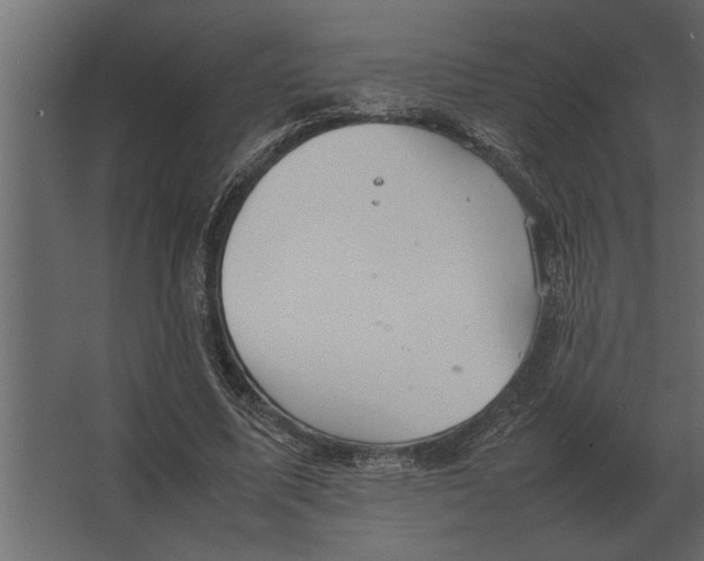 X0000067520587200604211819