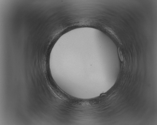 X0000067520588200604211819