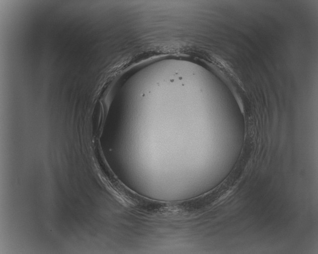 X0000067520589200604211819