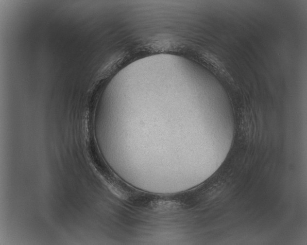 X0000067520590200604211819