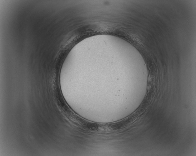 X0000067520591200604211819