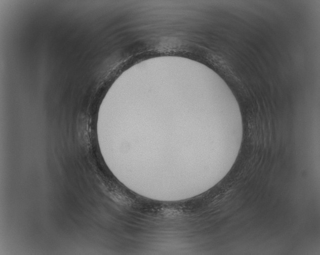 X0000067520592200604211819