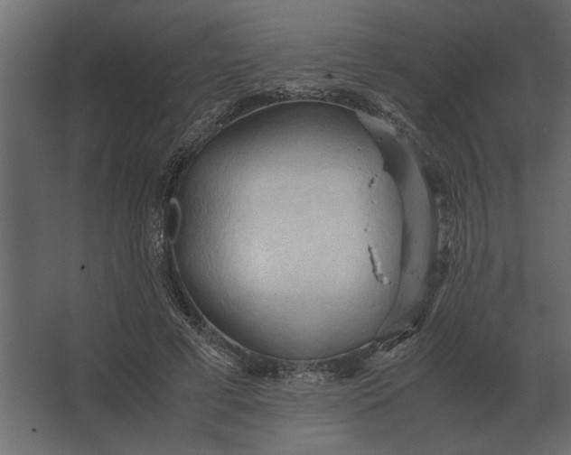 X0000067520593200604211819