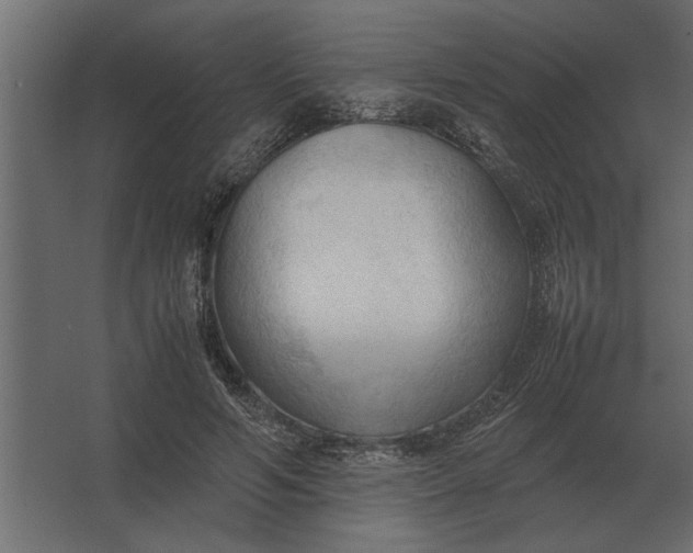 X0000067520594200604211819