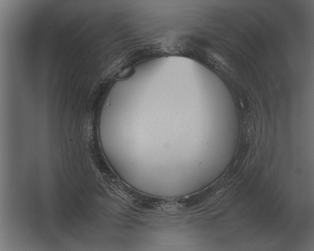 X0000067520595200604211819