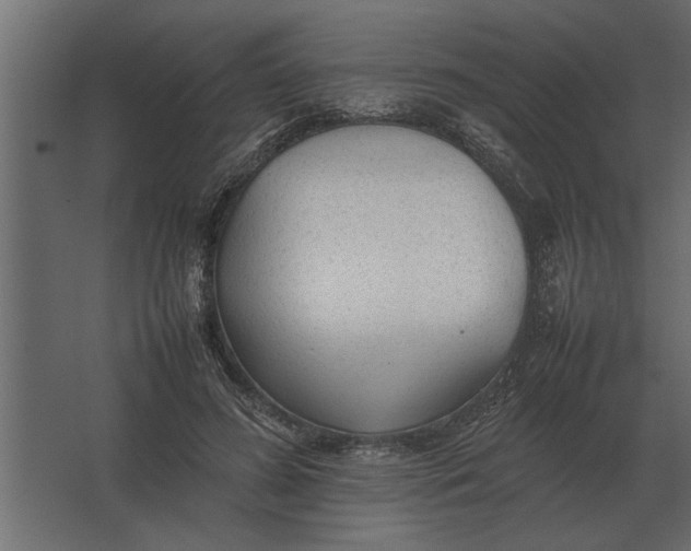 X0000067520596200604211819