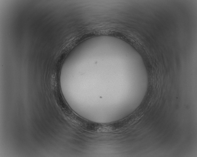 X0000067520599200604211819