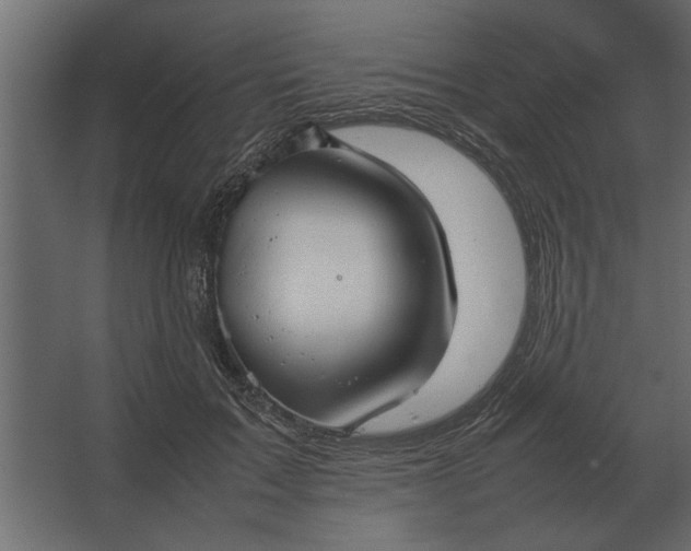 X0000067520603200604211819