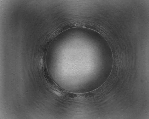 X0000067520604200604211819