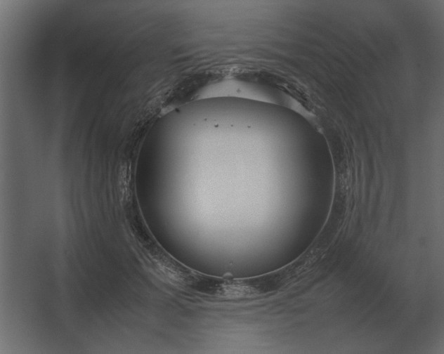 X0000067520605200604211819