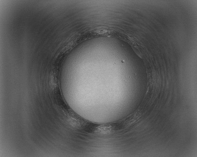 X0000067520606200604211819