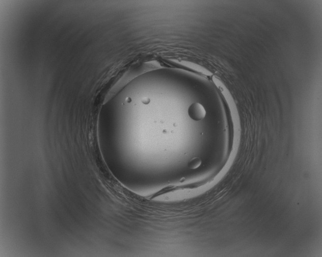 X0000067520607200604211819