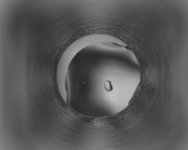 X0000067520608200604211819