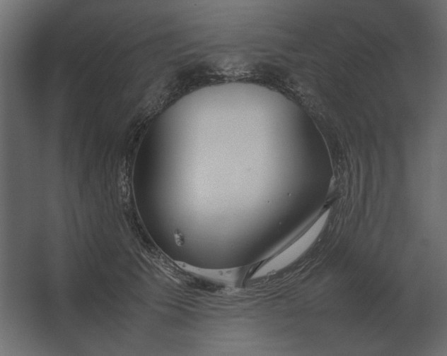 X0000067520609200604211819