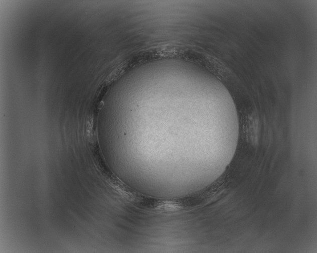 X0000067520610200604211819