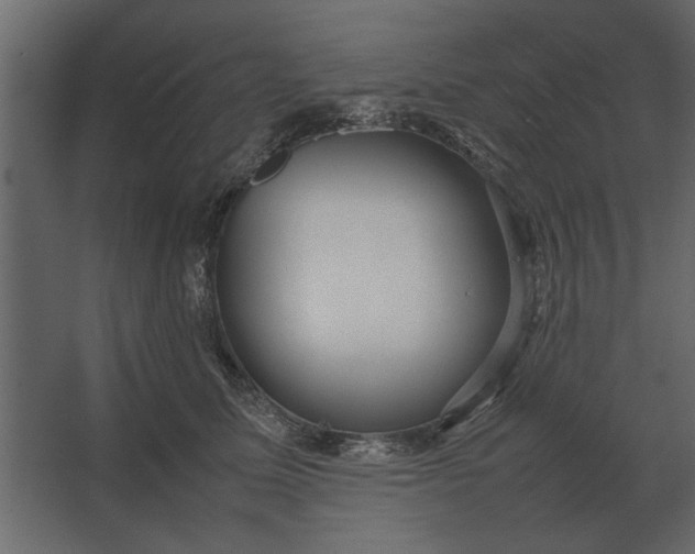 X0000067520611200604211819