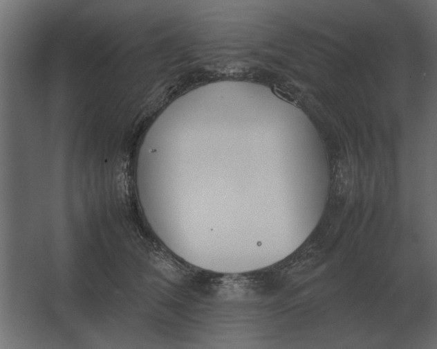 X0000067520612200604211819