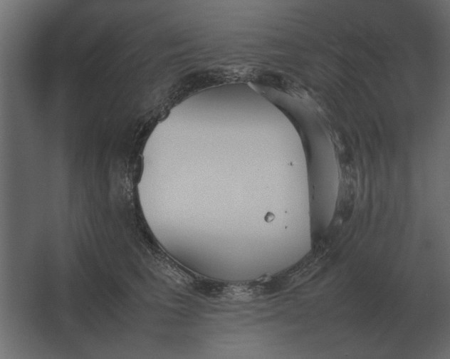 X0000067520613200604211819