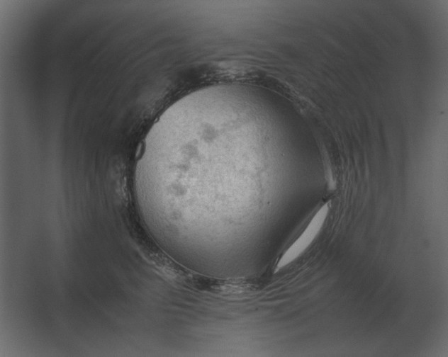 X0000067520615200604211819