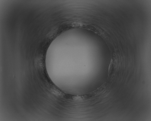 X0000067520616200604211818