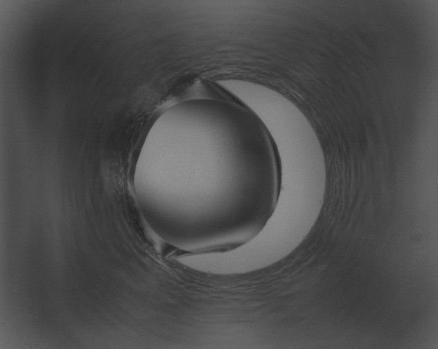 X0000067520617200604211818