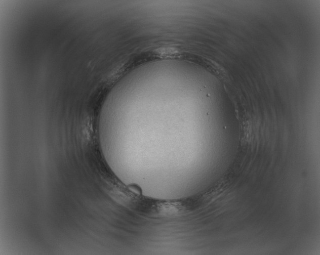 X0000067520618200604211818