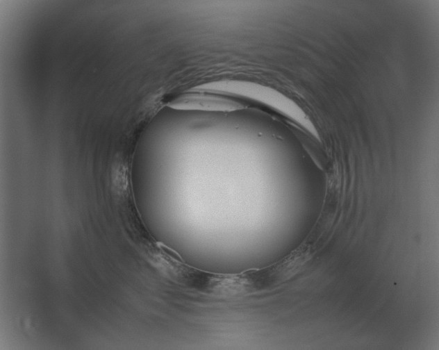 X0000067520621200604211818