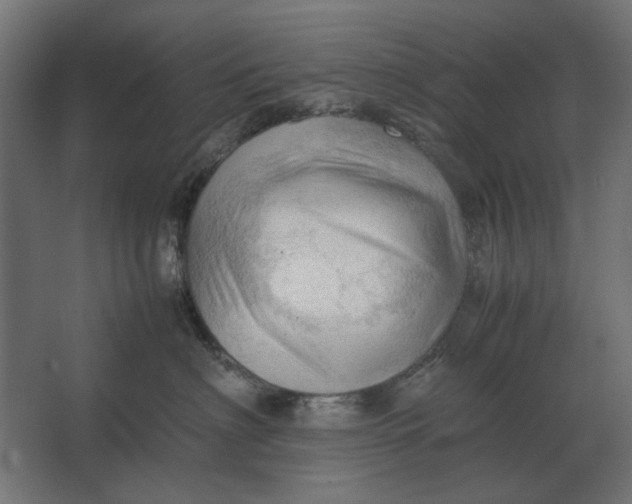 X0000067520622200604211818