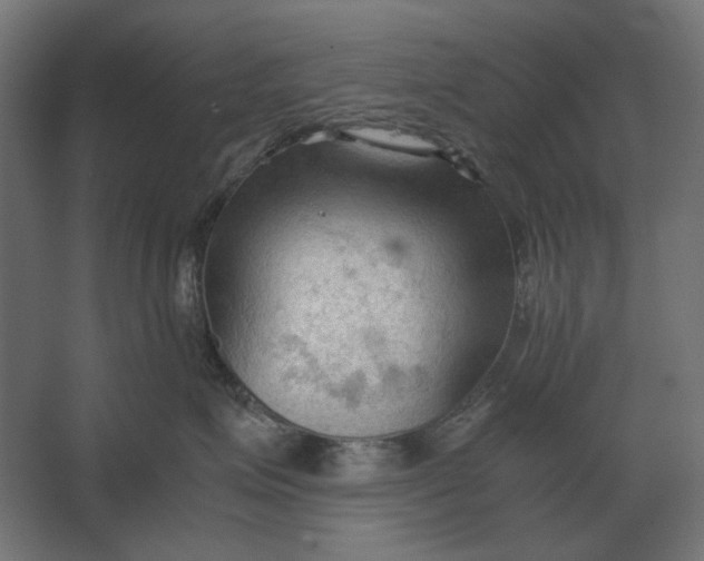 X0000067520623200604211818