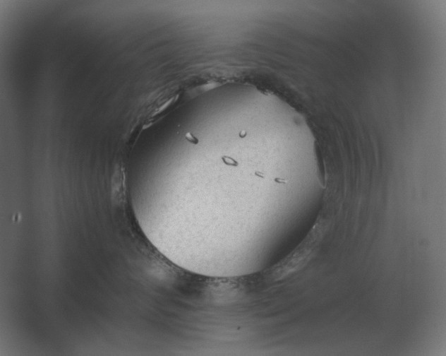 X0000067520624200604211818