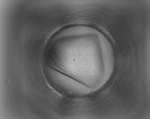 X0000067520625200604211818