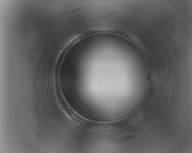 X0000067520626200604211818