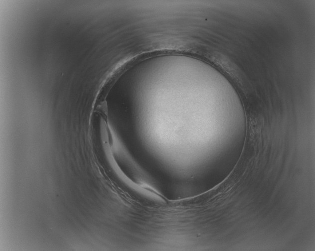 X0000067520628200604211818