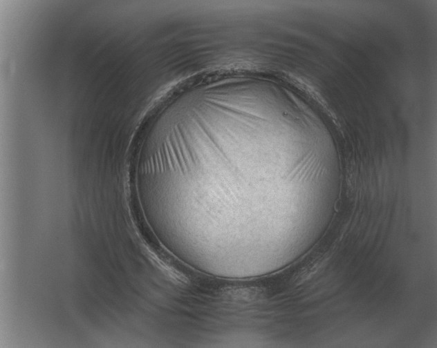 X0000067520629200604211818