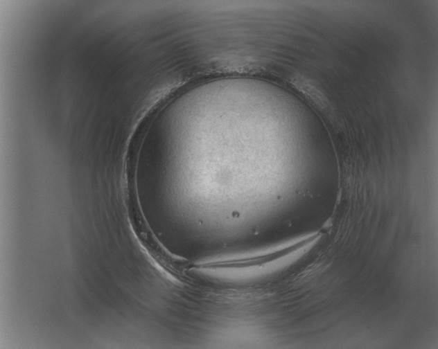 X0000067520630200604211818