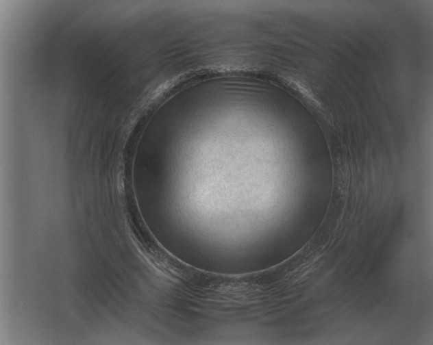 X0000067520631200604211818