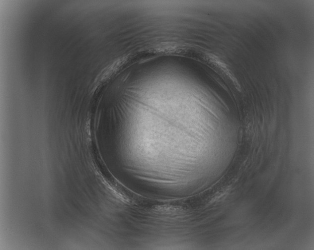 X0000067520633200604211818