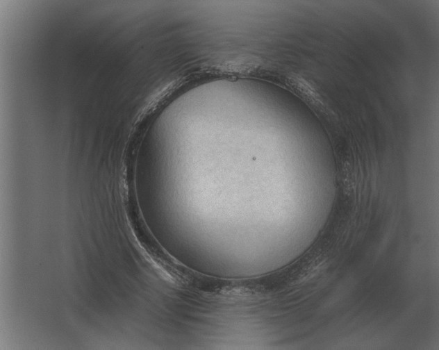 X0000067520634200604211818