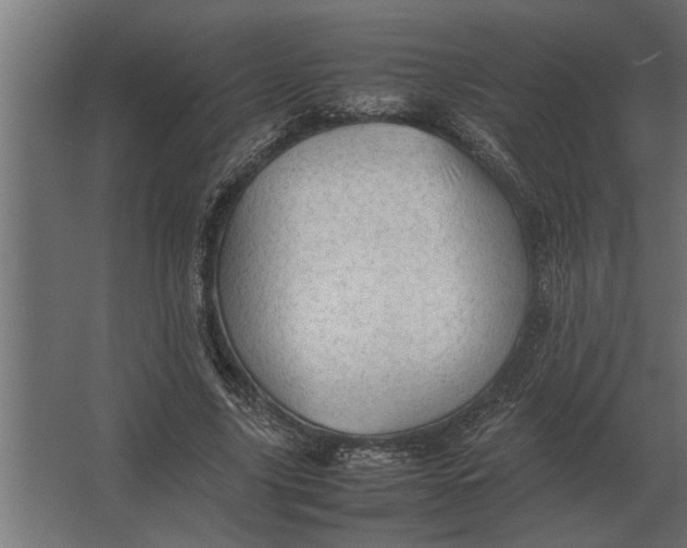 X0000067520635200604211818