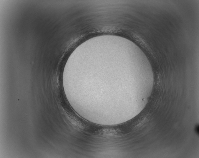 X0000067520636200604211818