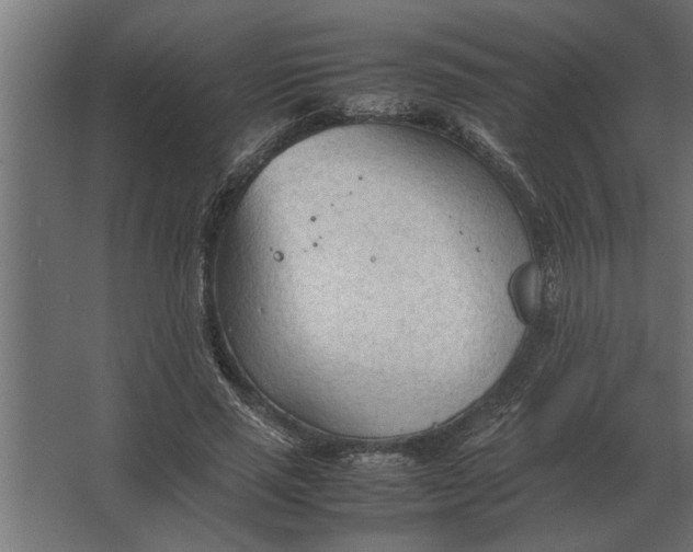 X0000067520637200604211818