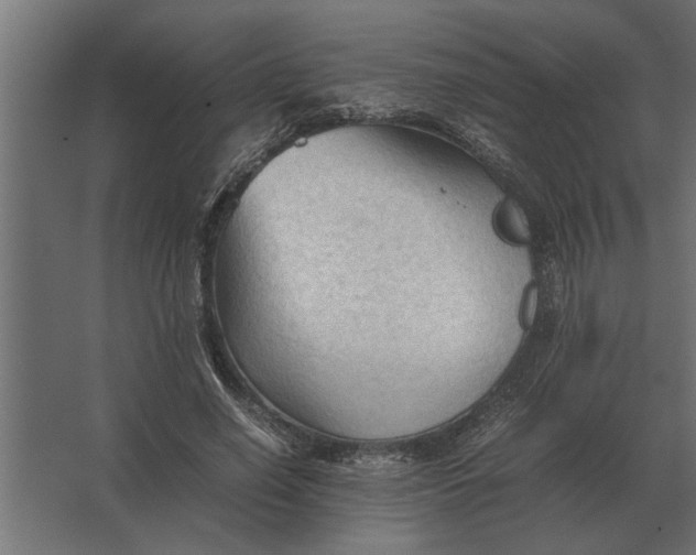 X0000067520638200604211818