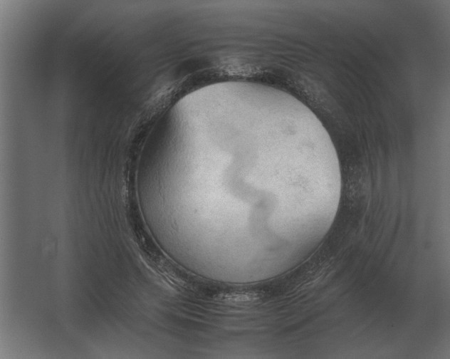 X0000067520639200604211818